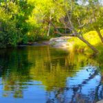 Camping da Ponte – Carrancas – MG 4