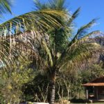 Camping Água da Rocha – Capitólio – MG1