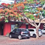 camping-albergue-praia-do-forte