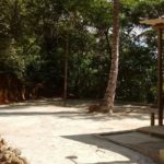 camping do Digão – Ilha Grande – Aventureiro-5