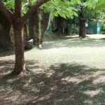 camping do veloso ilhabela 3