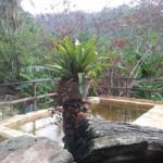 camping lua azul-baturite-ce-Piscina pequena