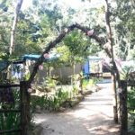 camping marta parnaioca – ilha grande – 3