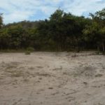 camping-minelci-cavalcante-go-2