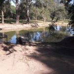 camping ringos-jaguariuna-sp-11