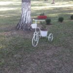 camping ringos-jaguariuna-sp-13