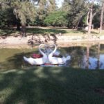 camping ringos-jaguariuna-sp-14