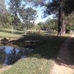 camping ringos-jaguariuna-sp-8