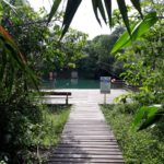 camping seu assis-jardim-ms-6
