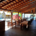 novilha de ouro 1