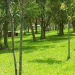 Camping Acqua Bella – Carazinho – RS