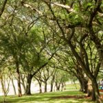 Camping Balneário Vila Natal – Prainha Missal – PR-1
