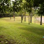 Camping Balneário Vila Natal – Prainha Missal – PR-3