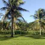 Camping CCB RN-02 – Lagoa do Bonfim 3