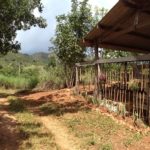 Camping Fazenda Cerradinho – Teresina de Goiás 4