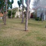 Camping Manero – Palmares do Sul – RS 4