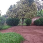 Camping Municipal Lagoa Santa – GO-6