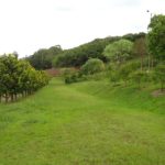 Camping Parque dos Peixes – Nova Padua – RS – 10