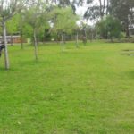 Camping Pesque-Pague Aventura – Caxias do Sul – RS 1
