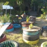 Camping Pirambu-SE-4