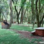 Camping Recanto Ronsani – Pato Branco – PR 4