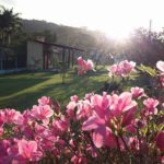 Camping Sítio Sol Nascente 3