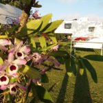Camping Sítio Sol Nascente 4