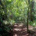 Camping do Bosque – Chapada dos Guimarães – MT 1