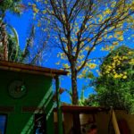 Camping do Bosque – Chapada dos Guimarães – MT 10