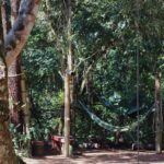 Camping do Bosque – Chapada dos Guimarães – MT 5
