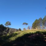 Camping dos Pinheiros – Ibitipoca-MG-22