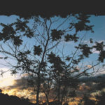 MG-Brumadinho-MahaMaia 11