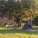 camping das mangueiras-vargem bonita-mg-7