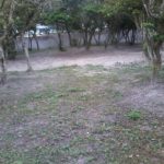 camping dos coqueiros-bombinhas-sc-2
