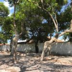 galé-beach-camping-bombinhas-sc-5