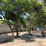 galé-beach-camping-bombinhas-sc-8