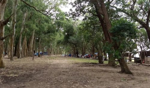 Camping Fazenda Areal-camaqua-rs-17