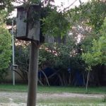 Camping 1ª Opção-Imbe-RS-32