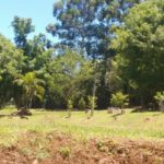 Camping Aqua Parque -ita-sc-10