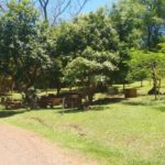 Camping Aqua Parque -ita-sc-14