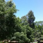 Camping Aqua Parque -ita-sc-2