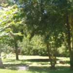 Camping Aqua Parque -ita-sc-8