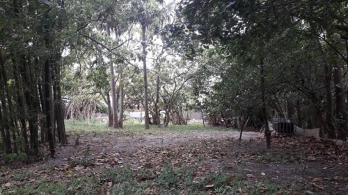 Camping Costa de Dentro