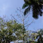 Camping Em Tudo Diferente – Peruíbe – SP 23