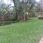 Camping Em Tudo Diferente – Peruíbe – SP 9