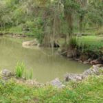 Camping Fazenda do Paraná-Campina Grande-PR-4