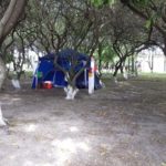 Camping Guanabara Cassino-rio grande-rs-8