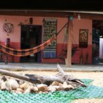 Camping Manga Rosa-São Jorge-Veadeiros-GO-6
