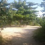 Camping Novo Ponto Gastronomico-Paraty Mirim-RJ-5