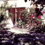 Camping Ozzi Kite-Arraial do Cabo-RJ-3